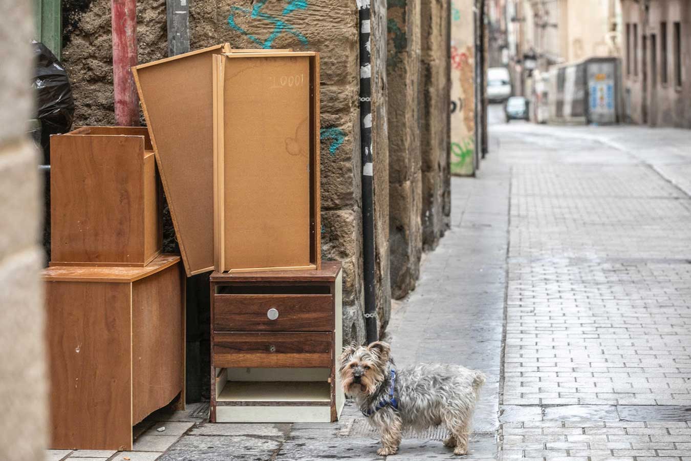 El fotógrafo coincide en una esquina con un perro, junto a restos de muebles de una habitación, tirados en la basura en una calle del Casco Antiguo de Logroño
